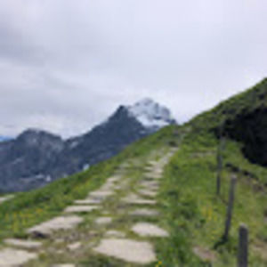 Meet your Posher, Natalie